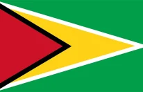 Flag-Guyana